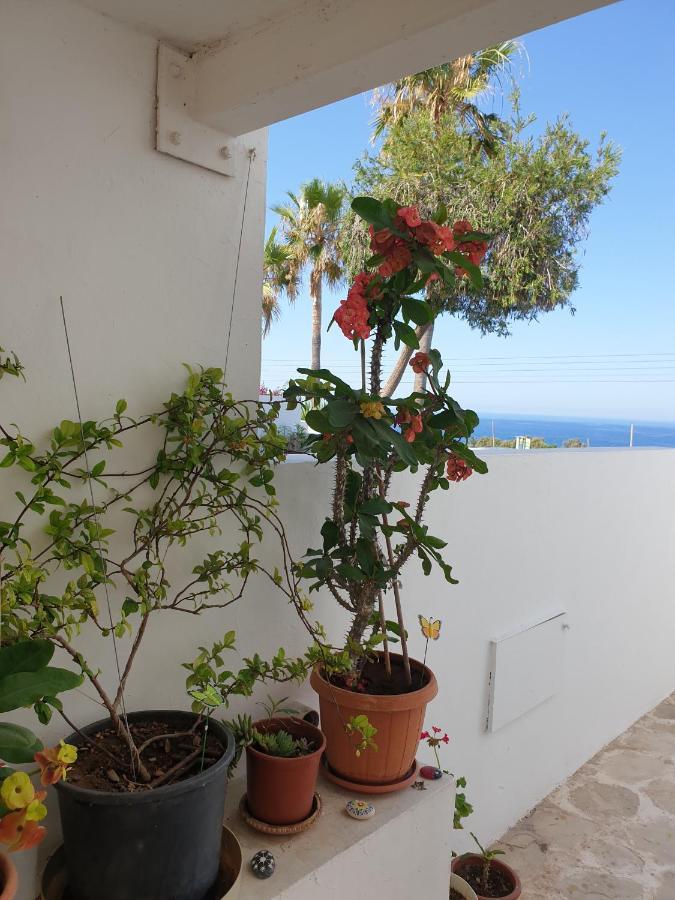 Apartament Ikaria Village Maisonette 12 Pafos